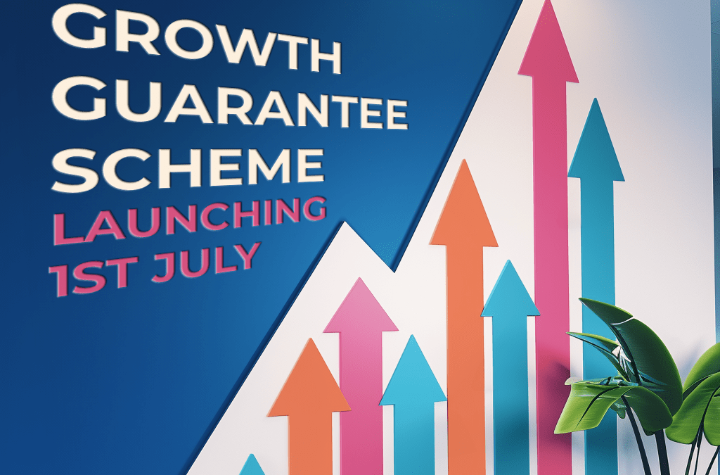 Transitioning from Recovery Loan Scheme to Growth Guarantee Scheme: What You Need to Know
